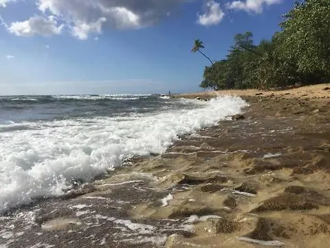 شقة Comfy And Quiet Beachy Bungalow رينكون بورتوريكو
